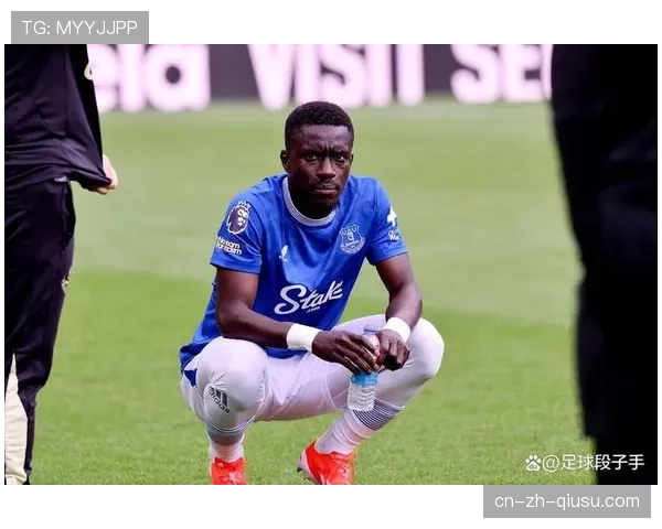 埃弗顿主场战绩持续强势 莫耶斯战术体系无需大幅引援